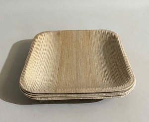 Eco <b>Disposable</b> Areca <b>Plates</b> 7 Inches Square for Hotel and Food Delivery Pack of 100 Pieces for Cafe Restaurant Food Presentation - Product Image 1