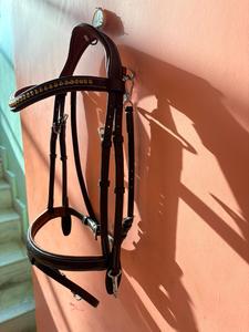 2026 Vente en gros de bridons en cuir de cheval avec rênes, équipement d'équitation durable, confortable et de qualité supérieure pour l'entraînement, la compétition et les spectacles - Product Image 6