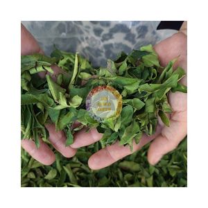 VIETNAM BEST PRICE PREMIUM KARIFF LEAF WHOLESALE FACTORY <b>DRIED</b> <b>LIME</b> LEAVES FOR GROUND MAKRUT AD RAW <b>LIME</b> LEAF FOOD INDUSTRY - Product Image 3