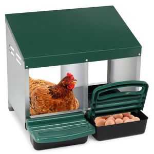 Nido per Galline in Plastica Verde a 2 Scomparti per Uova - Product Image 1