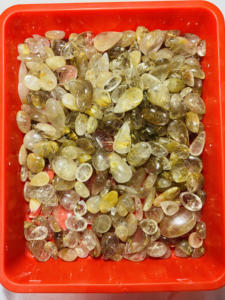 Cabochon de Quartz rutile doré naturel de haute qualité lisse poli à la main pierres précieuses en vrac taille de mélange pour bijoux - Product Image 3