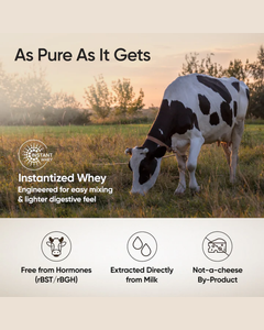 Aislado de Proteína de Suero de Leche de Alta Calidad, 24 g de Proteína en Polvo para el Crecimiento y la Recuperación Muscular con BCAA, Sabor a Chocolate Negro - Product Image 5