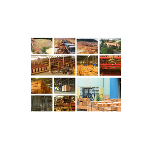 Thick Solid Terracotta Square Outdoor <b>Floor</b> Tiles Red/Pink <b>Matte</b> Color Vietnam Made 7200 Pieces Classic Round-spot 20mm - Product Image 5