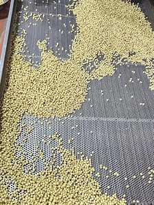 Agregue sabor y salud a su vida con semillas de loto secas. - Product Image 3