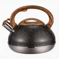 Bouilloire sifflante en acier inoxydable de style classique avec poignée en nylon et fond à induction, théière écologique pour cuisinière