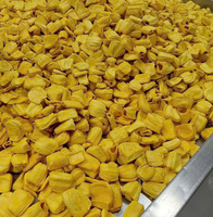 Knapperige Jackfruit Chips Vacuüm Gefrituurd Natuurlijke Zoete Snack Groothandel OEM Export Leverancier