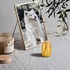 Pet Urn Teardrop Shape Stainless Steel Airtight For <b>Dogs</b> Paw Print Design Gold Color - Product Image 5