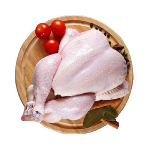 Pollo Entero Congelado al por Mayor, Pedidos al por Mayor, Producto de Servicio Alimenticio Premium, Listo para Enviar - Product Image 4