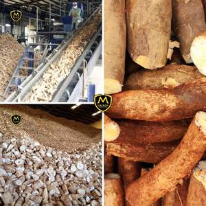 Pellets de Residuos de Tapioca de Alta Calidad para Alimentación Animal – Fuente de Energía Derivada de Yuca - Product Image 3