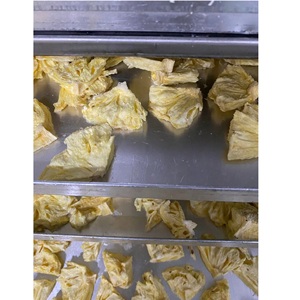 Piña Común FD 100% Natural, 1-2% de Grasa, Piña Liofilizada en Rodajas a Granel con 2 Años de Vida Útil, de Vietnam - Product Image 4