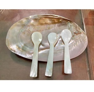 Cuillère de service artisanale en nacre naturelle ILAHI, style bohème, blanche, non toxique, en plastique PE, pour les fêtes, origine Uttar Pradesh - Product Image 3