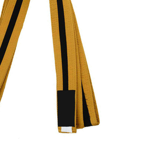 Lightweight Karate <b>Belts</b> Pakistan With Custom Embroidery And Private Label Packaging Service Premium Martial Arts <b>Belts</b> - Product Image 5