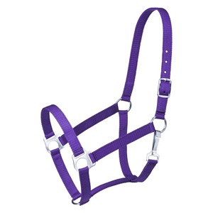 Adjustable Horse Halter Nylon Headcollar <b>Buckle</b> <b>Strap</b> for Riding Training Stable Use Wholesale OEM Manufacturer Direct - Product Image 5