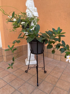 Support de plantes en métal classique, support décoratif pour pot de fleurs en fer, style vintage, présentoir pour plantes d'intérieur et d'extérieur - Product Image 4