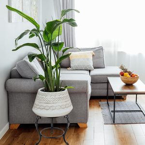 Support pour plantes en fonte, support pour pot de fleurs robuste, porte-plantes pour salon, chambre à coucher, entrée - Product Image 6