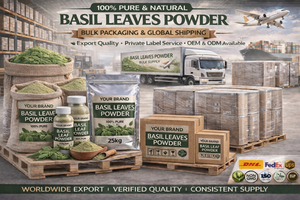 Poudre d'herbe de Tulsi biologique WARRLY, extrait naturel de basilic sacré à 99 %, ingrédient alimentaire, emballage sous vide en vrac, en fût ou en bouteille - Product Image 5