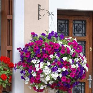 2 Ganchos de Hierro para Colgar Plantas, Soporte para Comederos de Pájaros, Faroles y Campanas de Viento, para Decoraciones de Exterior - Product Image 5