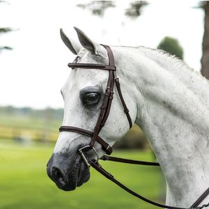 Brida de Doma Anatómica de Lujo para Caballos, Cuero Negro con Cabezal y Frenteales Acolchados, Se Acepta OEM - Product Image 6