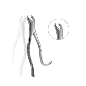 Pinzas de Extracción Dental para Adultos, Alicates de Acero Inoxidable, Venta al por Mayor, Marca Privada Personalizada, Java Surgical - Product Image 4