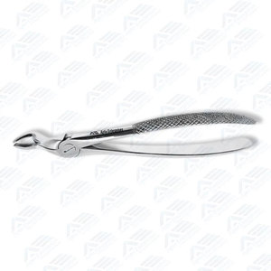 Pinzas para molares superiores, instrumentos quirúrgicos dentales, equipo dental para la extracción de molares superiores, material de acero inoxidable - Product Image 2