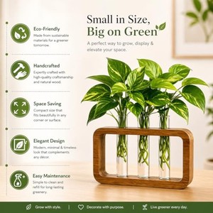 Jardinière décorative en bambou écologique fabriquée à la main avec tubes en verre - Vente en gros depuis l'Inde - Product Image 4