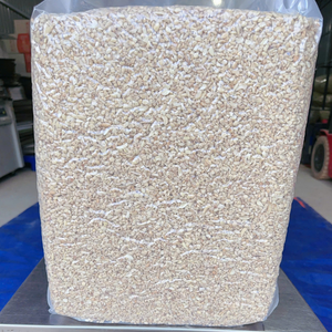 Noix de cajou SANTIGO en gros exportées au Moyen-Orient – Noyaux de cajou - Product Image 1