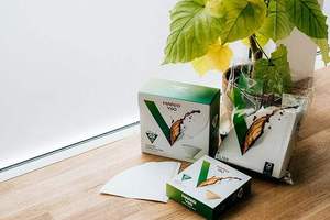 Filtros de Papel Desechables para Verter Café, la Elección Definitiva del Barista, Flujo Consistente, Conos de Pulpa de Madera, 100 Hojas - Product Image 4