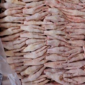 Poitrine de poulet halal surgelée de qualité supérieure, séchée, en gros, livraison rapide, meilleur prix, 6-12 mois - Product Image 4