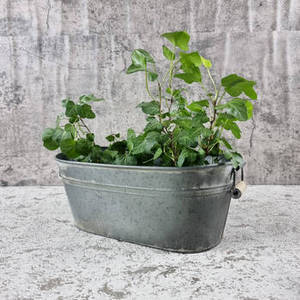 Jardinera de Metal Galvanizado para Jardines, Patios, Balcones y Plantaciones al Aire Libre, Exportador Mayorista - Product Image 6