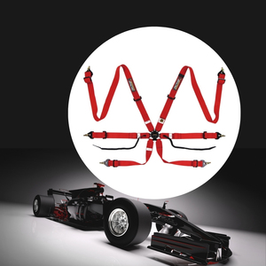 เข็มขัดนิรภัยสำหรับรถแข่ง TBRACING Sport Plus Motorsport แบบ Private Label ได้รับการรับรองจาก FIA ขายส่ง พร้อมแถบยางยืดและห่วงจับ - Product Image 1