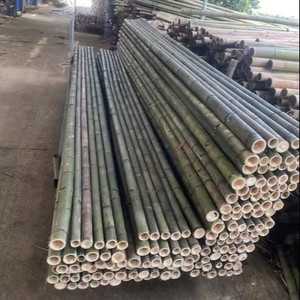 เสาไม้ไผ่เกรดพรีเมียม เหมาะสำหรับงานก่อสร้าง จัดสวน และงานฝีมือ - Product Image 1