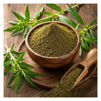 Pasokan Massal Bubuk Kalmegh Murni Bubuk Andrographis Paniculata Bahan Baku Bubuk Herbal Halus untuk Produk Kesehatan