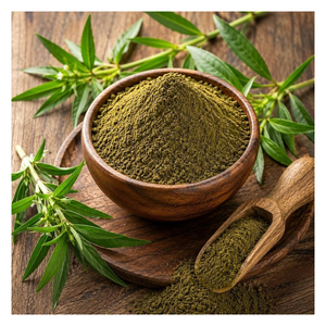 Poudre de Kalmegh Pure en Gros, Poudre d'Andrographis Paniculata, Matière Première, Poudre d'Herbes Fines pour Produits de Bien-être - Product Image 5