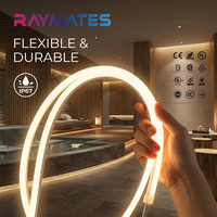 RAYMATSE Prix d'usine pour bande lumineuse LED IP67 étanche, bande lumineuse LED néon 1018, bande lumineuse en silicone à émission horizontale