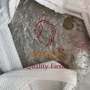 Film PET 2Lians provenant d'une usine de fibres chimiques, origine Taïwan, pour recyclage, qualité extrusion - Product Image 2