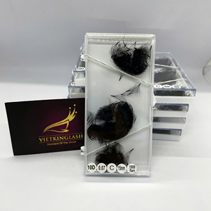 Extensions de cils synthétiques faites à la main 10D 0.07, haute qualité, volume intense, 10D/14D/16D/20D, naturelles, longues, noir mat, base pointue - Product Image 3