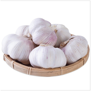 Ajo Fresco Cultivado en Granja Natural, Bulbos de Ajo de Grado de Exportación, Proveedor a Granel para Compradores de la Industria Alimentaria Global - Product Image 1