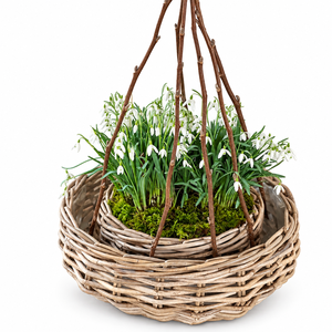 Vente en gros de pots à fleurs modernes en rotin tissé écologiques, porte-plantes, tailles personnalisables, couleur naturelle, forme ronde - Product Image 1