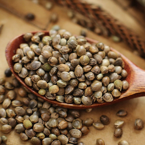Graines de chanvre de qualité supérieure prêtes à être expédiées, qualité alimentaire, approvisionnement en vrac, fabricant exportateur de premier plan - Product Image 2