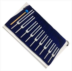 New Arrival Stainless Steel Weighted Medical Chakra Tuning Forks Manual CE Certified with Wooden Box Reusable - Product Image 5