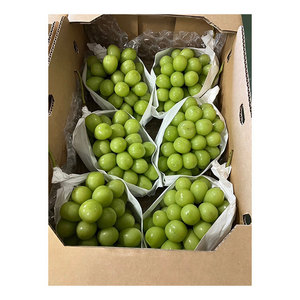Uvas Verdes, Rojas, Frescas y Negras de Alta Calidad, Variedad Exclusiva de Japón - Product Image 1