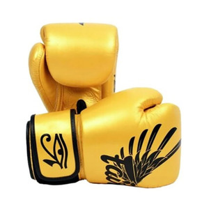 Guantes de Boxeo Muay Thai Fairtex Premium de Piel Sintética Dorada con Estampado Gráfico de Alas y Ojos para Entrenamiento y Sparring - Product Image 5