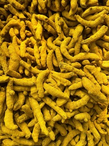 Cúrcuma Salem Premium con Alto Contenido de Curcumina, Dedos de Cúrcuma Naturales Pulidos, Raíz de Cúrcuma Entera de Grado de Exportación, 2 Años de Vida Útil, APSS - Product Image 2