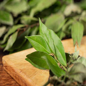 Hoja de Laurel India Cruda Seca de Alta Calidad (Origen Gujarat) - Ingrediente Alimentario de la Marca FitTree International - Product Image 1