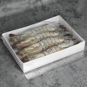 Camarones Congelados Frescos Directamente de Fábrica, Camarones Congelados de Primera Calidad Disponibles al por Mayor para Compradores de Servicios de Alimentación y Exportación - Product Image 5