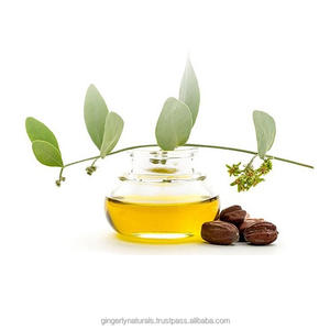 Best Manufacturers of Wild Simmondsia Chinensis Oil Herb <b>Extract</b> Packed in Drum and Bottle Direct From India - Product Image 4