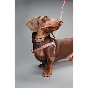 Custom <b>Dog</b> Leather <b>Collar</b> Heavy Duty Medium <b>Large</b> Breed Wholesale OEM ODM Service Acceptable <b>Dogs</b> Leather <b>Collars</b> - Product Image 6