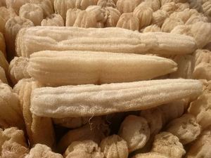 Tapis de loofah en matière première, format le plus grand, prix direct usine, feuille de loofah compressée en vrac, tampon de loofah en gros à vendre - Product Image 3
