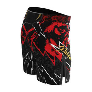 Pantalones Cortos Personalizados de UFC MMA 2025 para Entrenamiento de Lucha, Sublimados, para Jiu Jitsu - Product Image 1