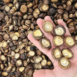 Hongos Shiitake Secos Premium de Vietnam, Ingrediente Alimenticio Natural, Fabricante a Granel, Suministro para Exportación - Product Image 1